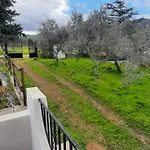 Casa Le Bleu Et Le A 180 Mt Dal Mare * Tertenìa