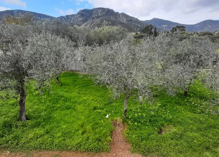 Apartament Casa Le Bleu Et Le A 180 Mt Dal Mare *